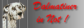 Dalmatiner zu vermitteln!!